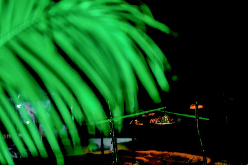 The Restfo Pench Tiger Resort image