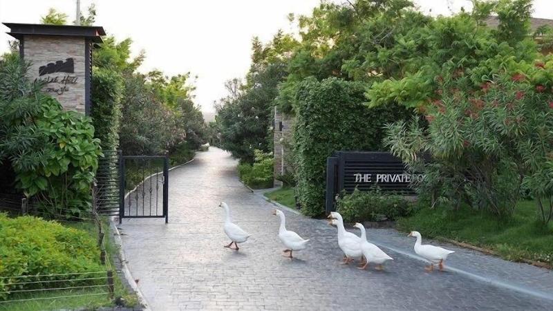 The Private Pool Villas At Civilai Hill, Khao Yai image