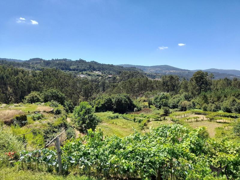 Coliving The VALLEY With Coworking Space Open 24-7 image