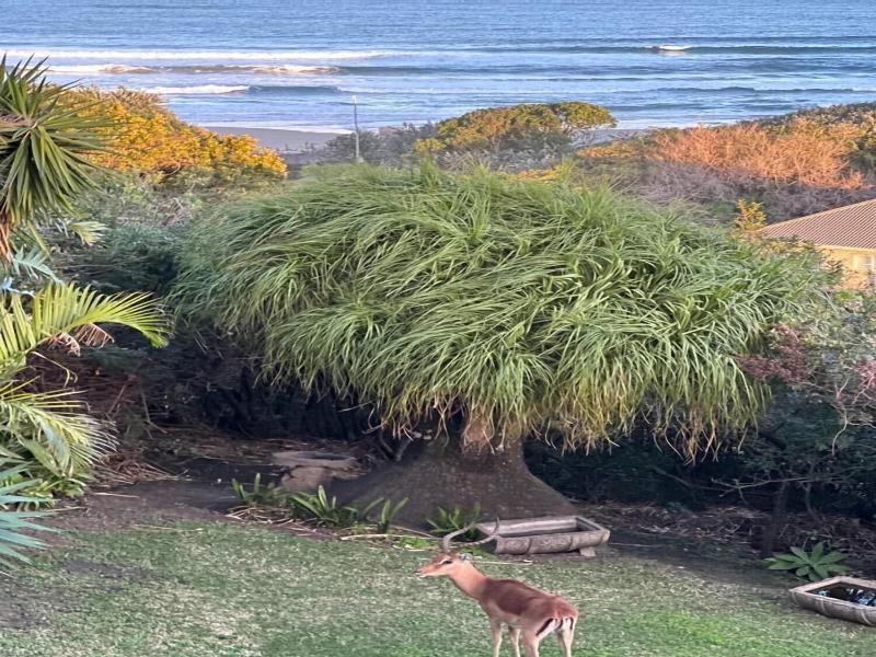 Cove View Bed & Breakfast