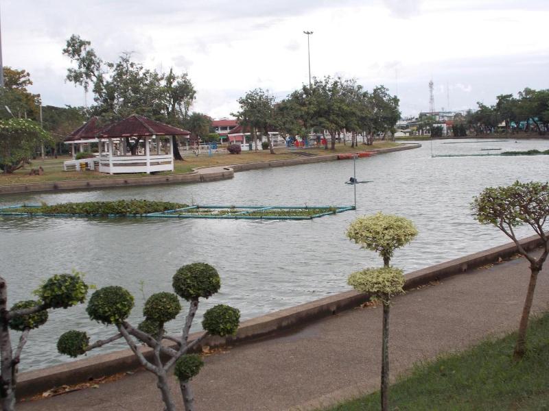 A P Garden Hotel