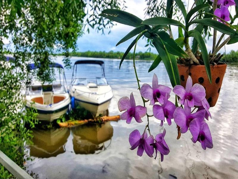 Bangpakong Boat Club image