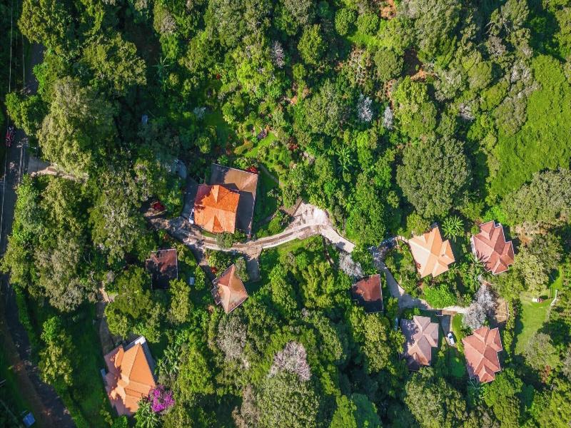 Coffee Estate Inn image