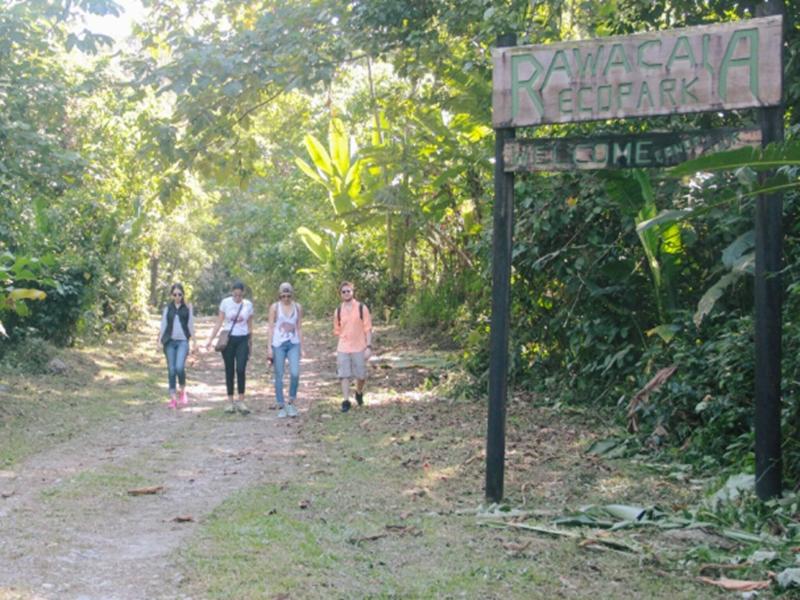 Paraiso Rainforest And Beach Hotel image