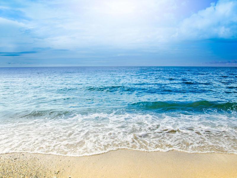 Paraiso Rainforest And Beach Hotel image