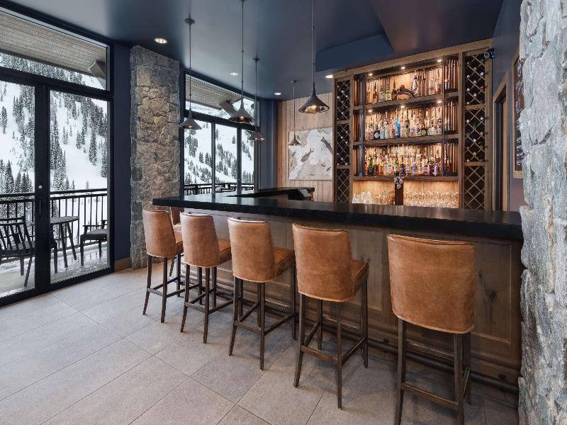 The Snowpine Lodge image