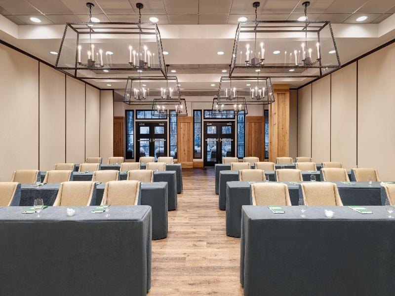 The Snowpine Lodge image