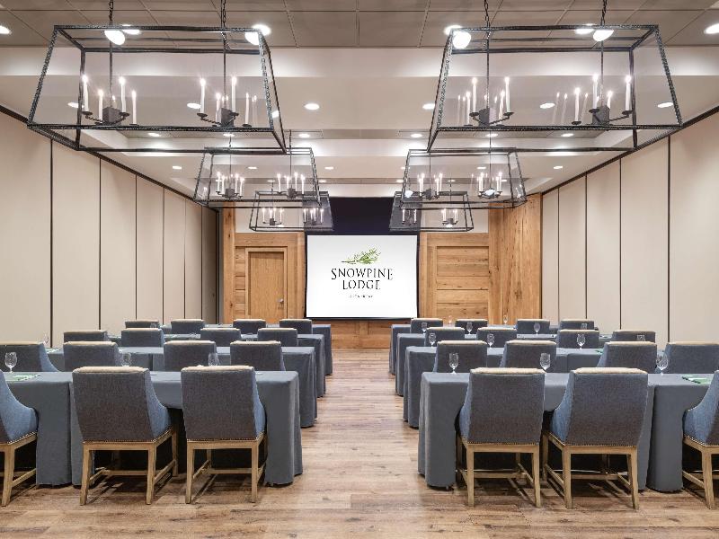 The Snowpine Lodge image