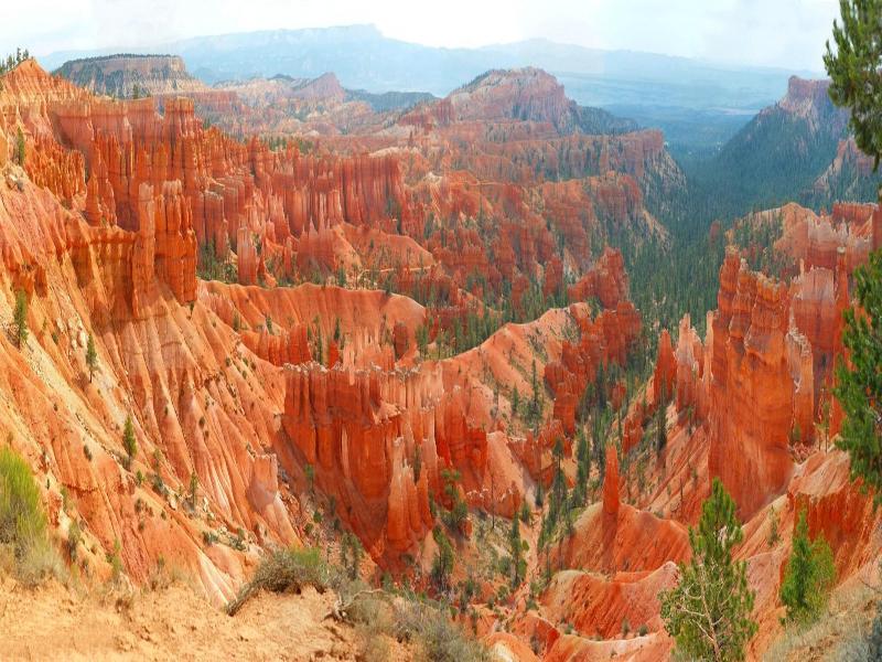 Mountain Ridge Cabins And Lodging