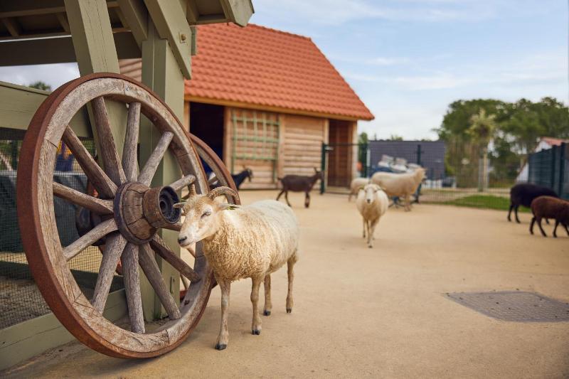 Beach Hotel Zandvoort By Center Parcs image
