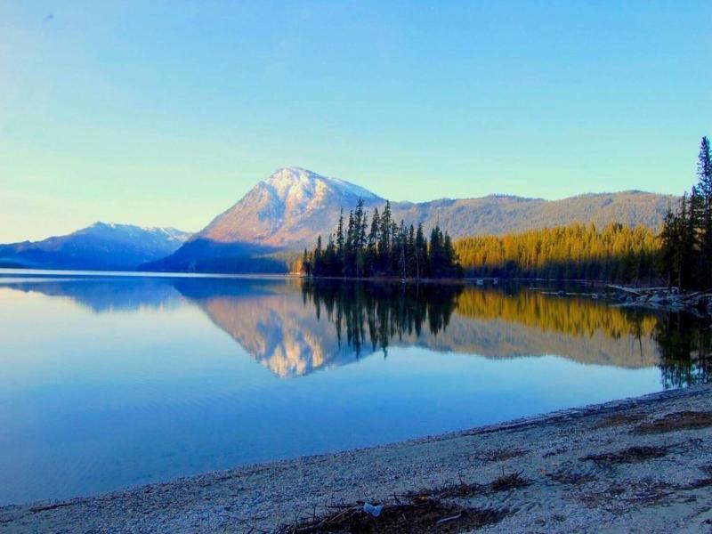 Squirrel Tree Resort