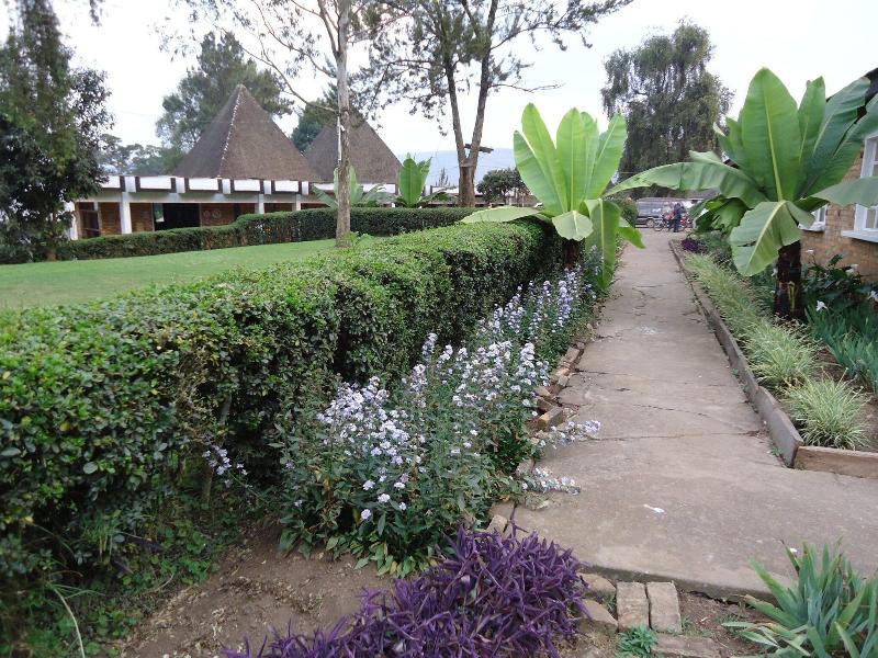 White Horse Inn image