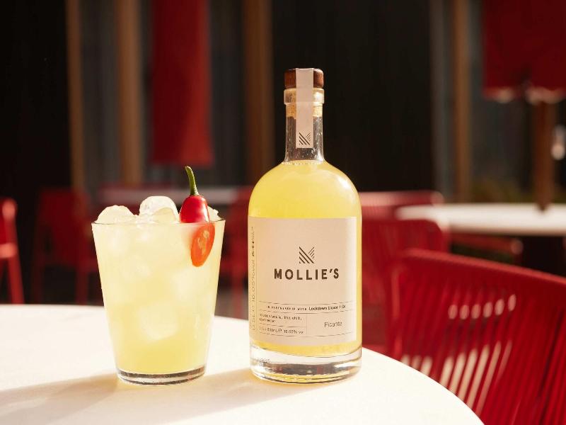Mollie's Motel & Diner image