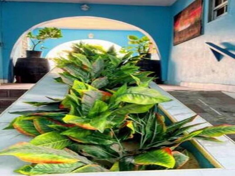 Edwards Guesthouse image