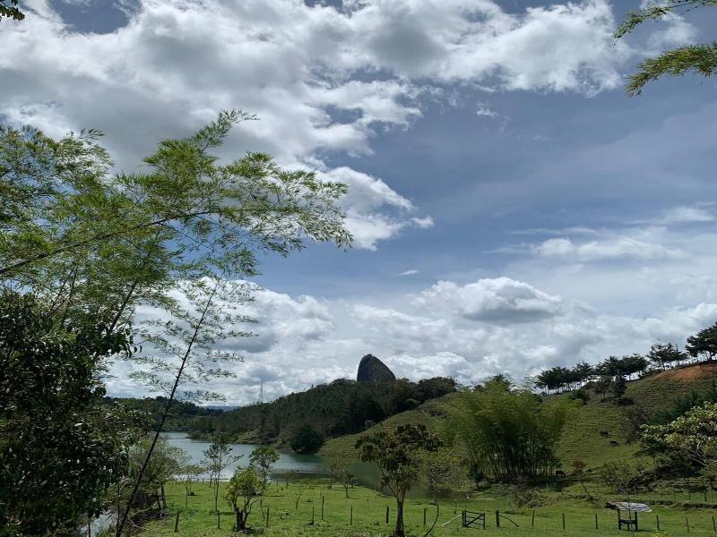 Hotel Selva Negra image