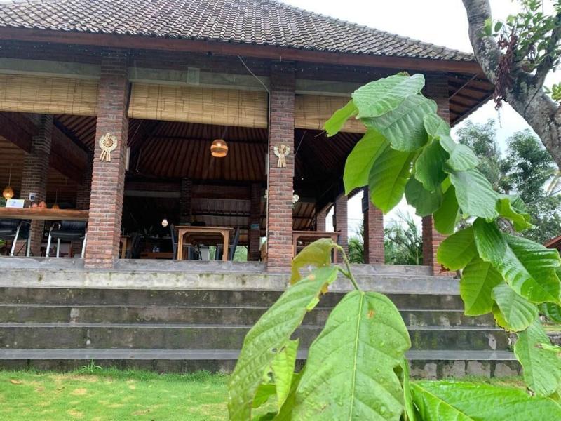 Kampung Coklat Jembrana image