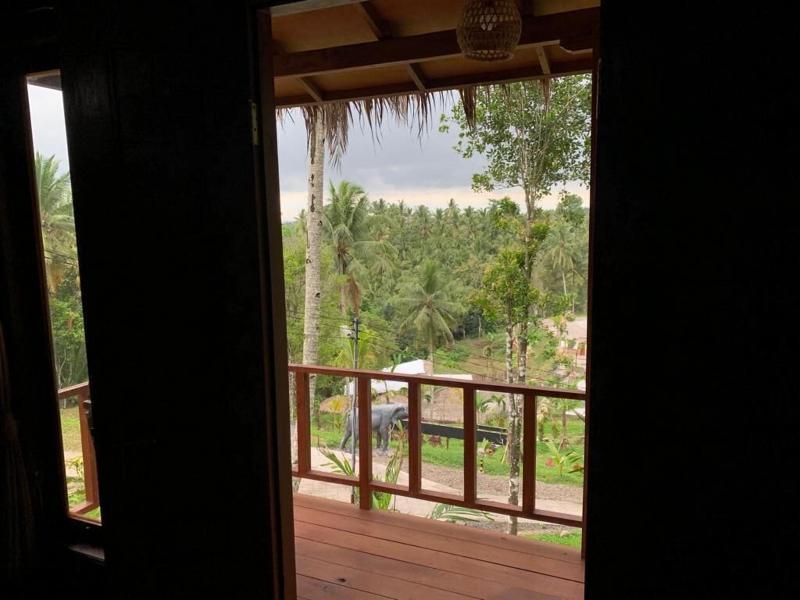 Kampung Coklat Jembrana image