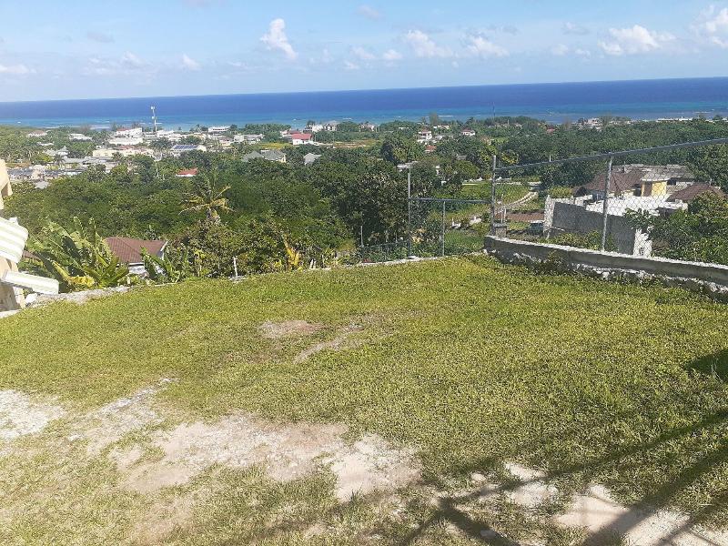 Poinciana House image