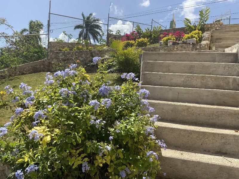 Poinciana House image