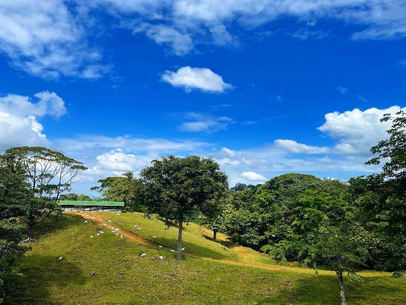 La Finca Azul image