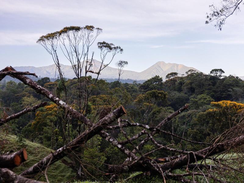 La Finca Azul image