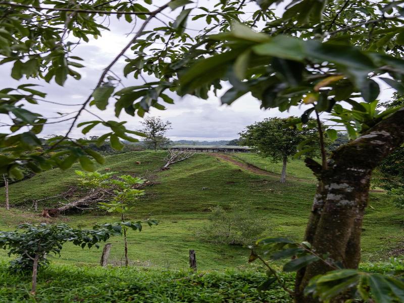 La Finca Azul image