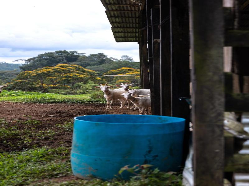 La Finca Azul image