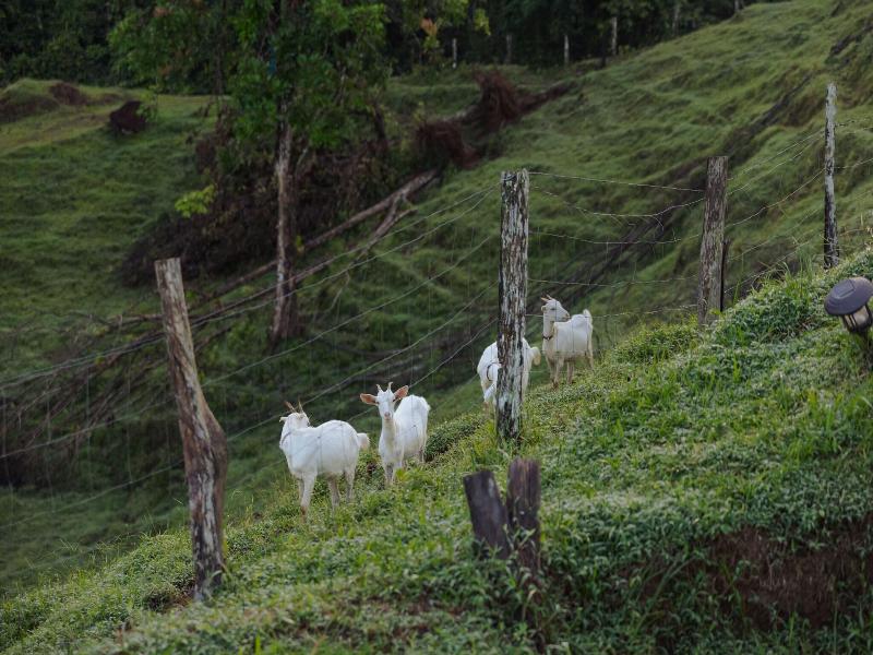 La Finca Azul image