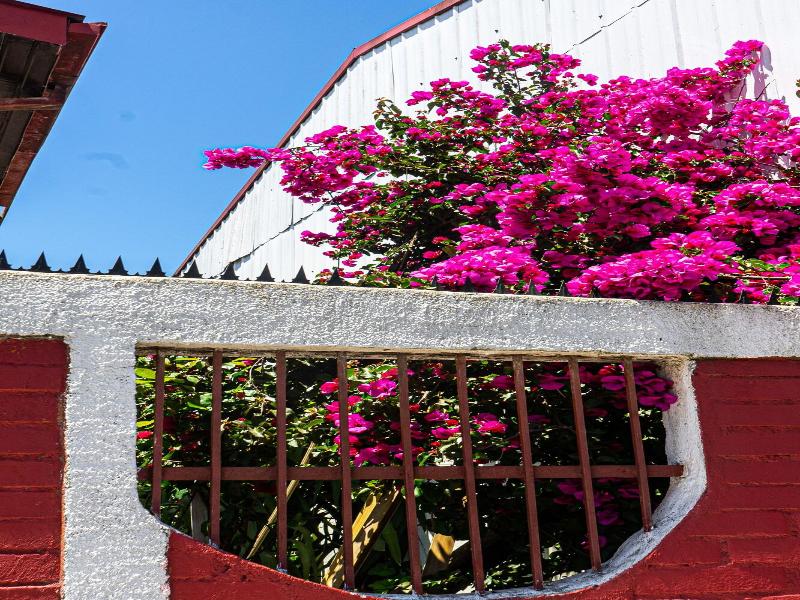 Hostal Mi Segundo Hogar