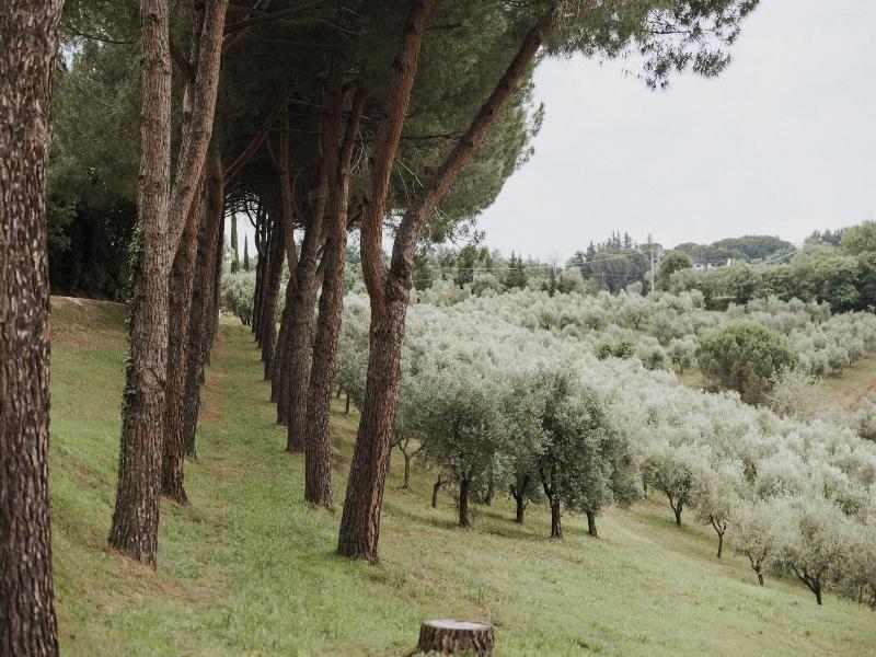 Villa Delia Hotel Cooking School image