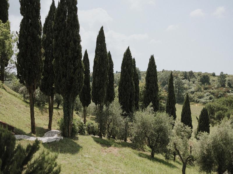 Villa Delia Hotel Cooking School image