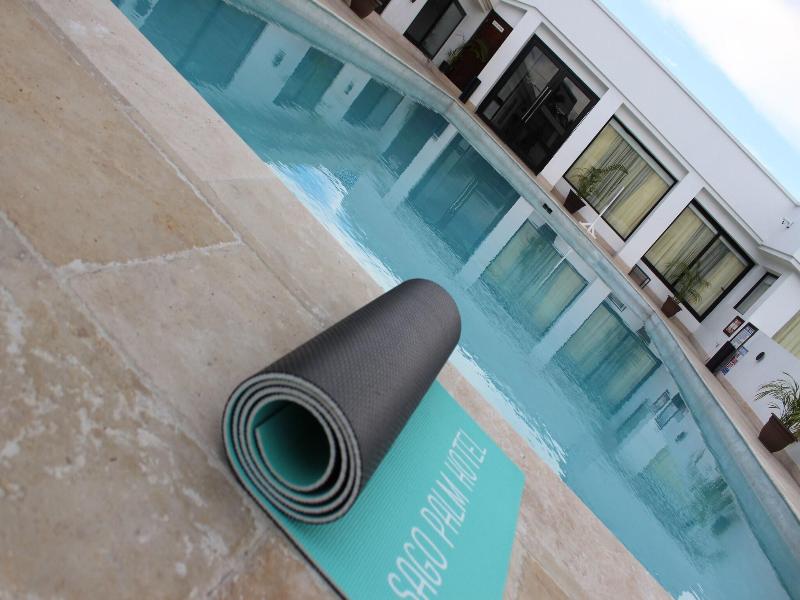 Sago Palm Hotel image