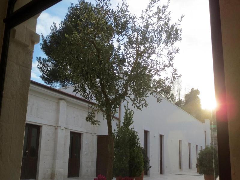 Domus Antiqua Residence image