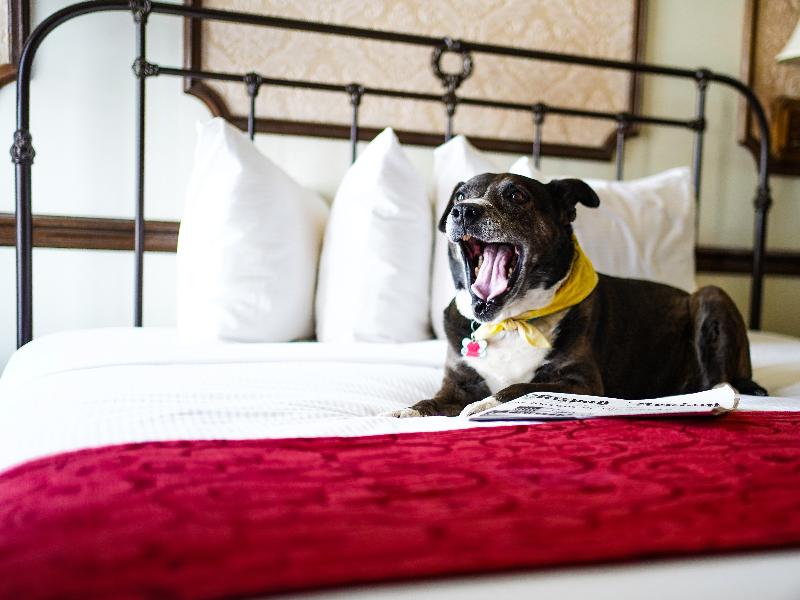 Mizpah Hotel image