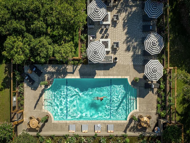 The Madrona image