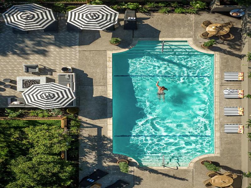 The Madrona image