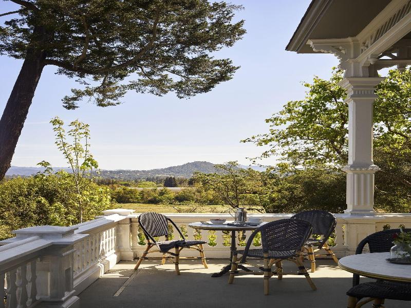 The Madrona image