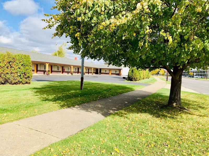 Motor City Inn Suites