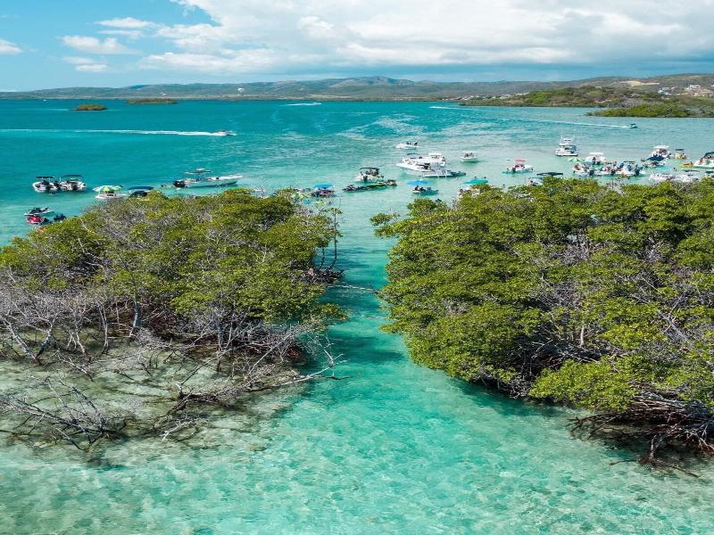 Turtle Bay Inn image
