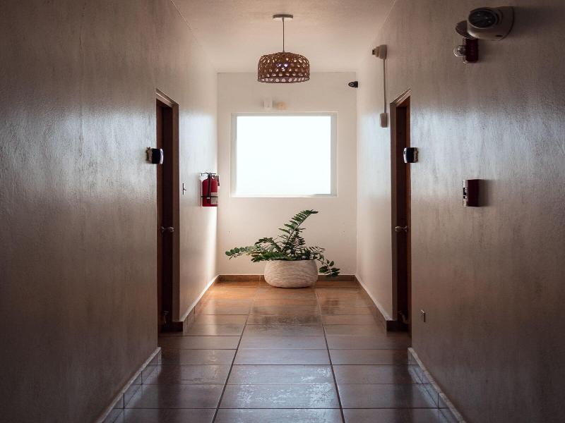 Turtle Bay Inn image