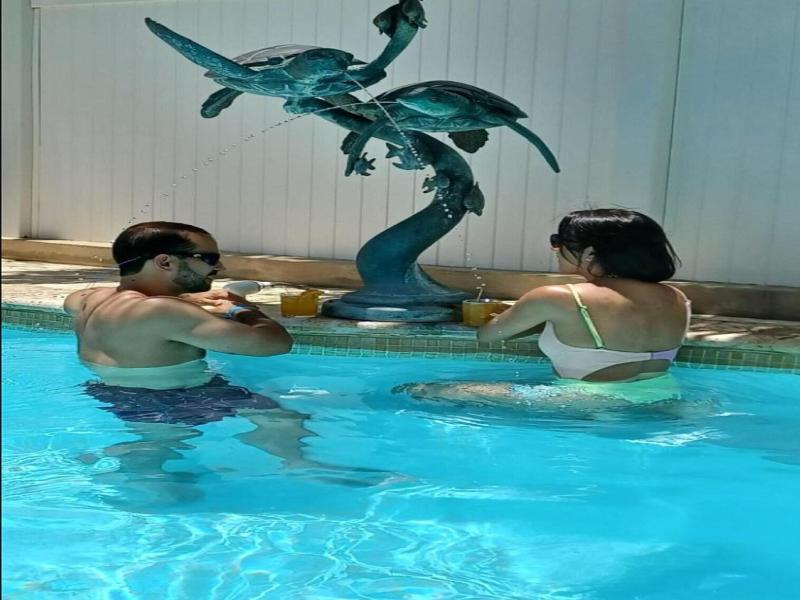 Turtle Bay Inn image