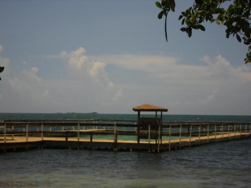 Turtle Bay Inn image