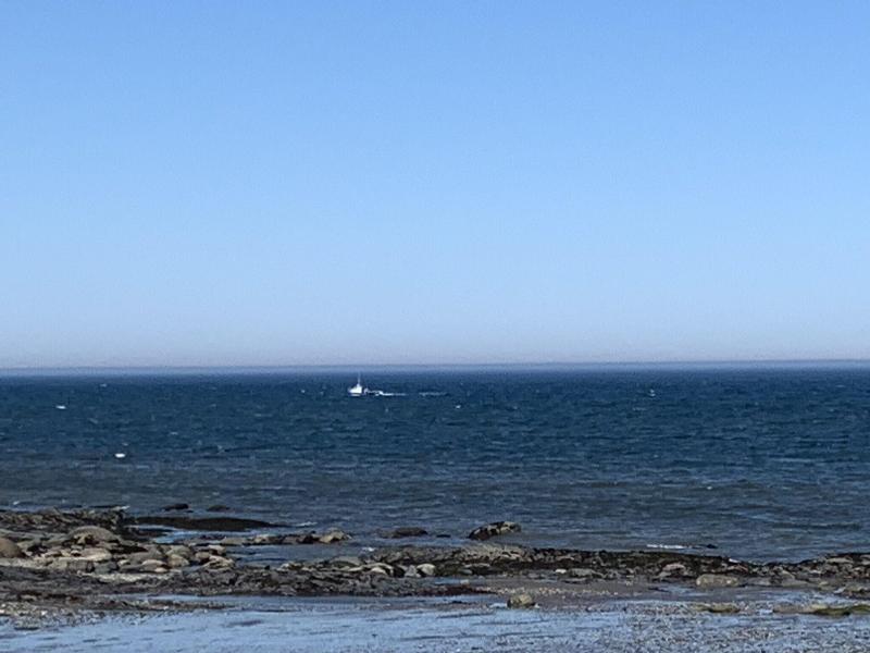 Les Studios De La Mer image