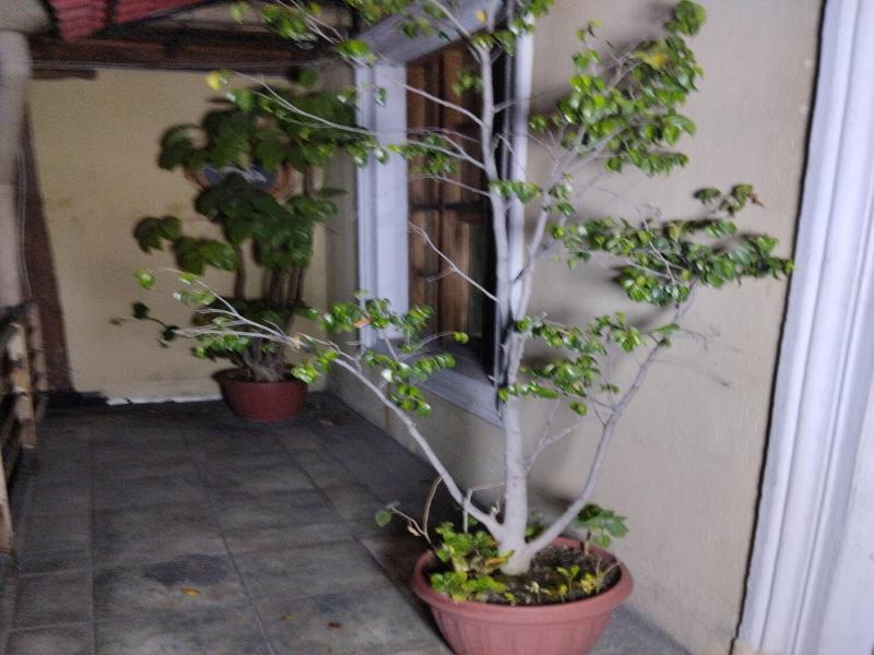 Departamento 7 image