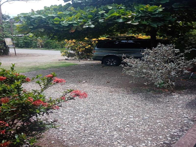 Hostel Y Cabinas Tapandua