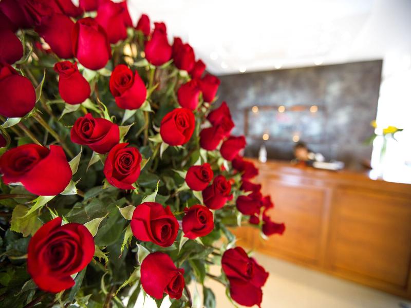 Hotel Ambato image