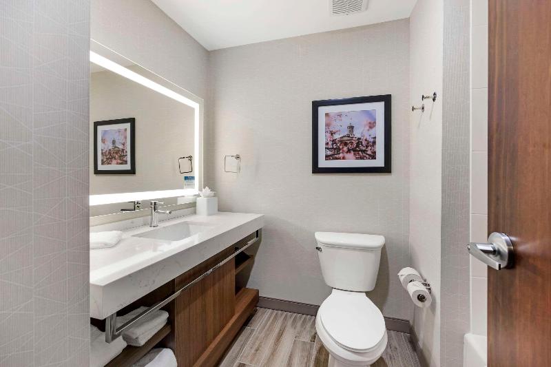 Comfort Inn & Suites Gallatin - Nashville Metro image
