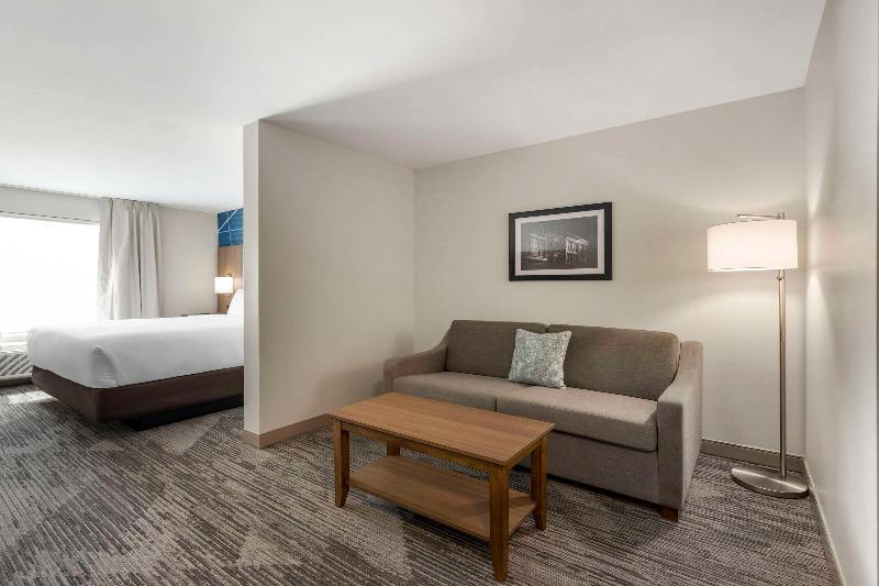 Comfort Inn & Suites Gallatin - Nashville Metro image