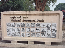 Visit to Delhi Zoo en Delhi and NCR