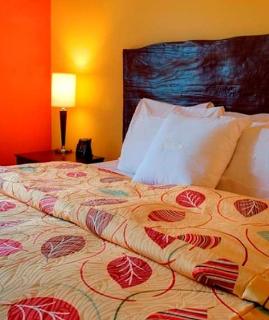 Room
 di Homewood Suites by Hilton Columbus